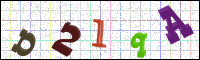 Image Verification