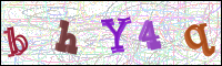 Image Verification