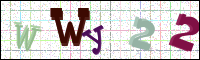 Image Verification