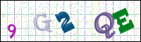Image Verification
