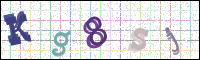 Image Verification