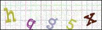 Image Verification