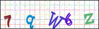 Image Verification