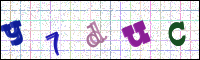 Image Verification