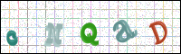 Image Verification