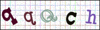 Image Verification