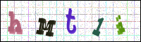 Image Verification