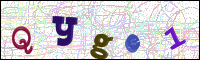 Image Verification