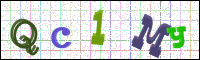 Image Verification