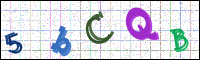 Image Verification