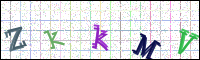 Image Verification