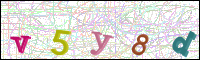 Image Verification