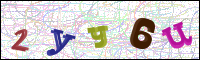 Image Verification