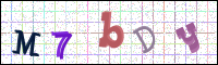 Image Verification