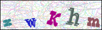 Image Verification