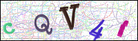Image Verification