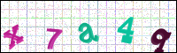 Image Verification