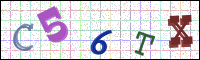 Image Verification