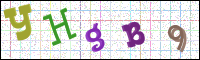 Image Verification