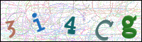 Image Verification