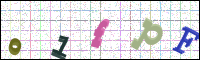 Image Verification