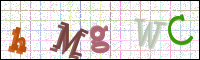 Image Verification