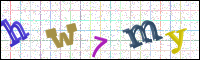 Image Verification