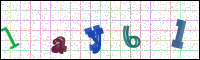 Image Verification