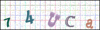 Image Verification