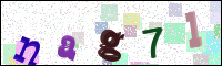 Image Verification